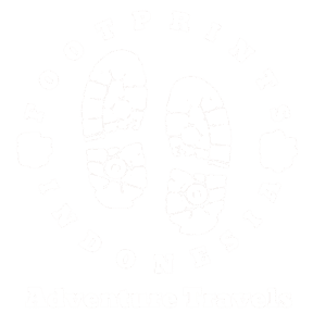 logo in white